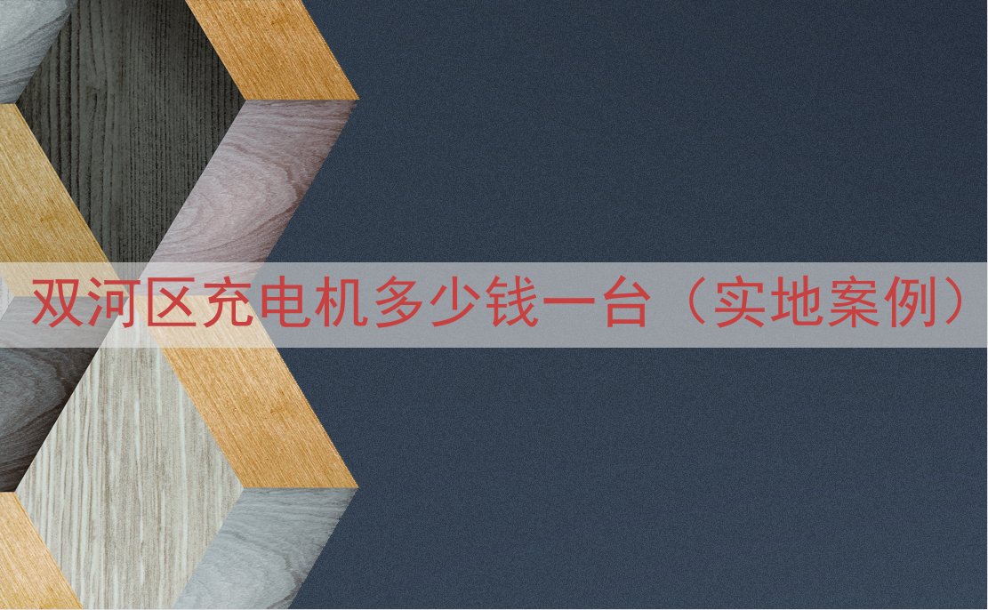 双河区充电机多少钱一台（实地案例）
